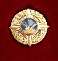 Изображение награды : знак "За обеспечение космических стартов"