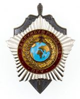 Изображение награды : нагрудный (наградной) знак "За службу в разведке"
