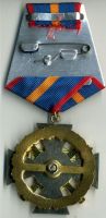 Изображение награды : нагрудный (наградной) знак "ХХ лет МЧС"