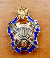 Изображение награды : нагрудный (наградной) знак "Лучший работник службы социальной воспитательной работы с осужденными"