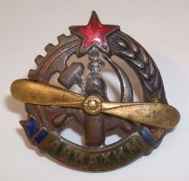 Изображение награды : нагрудный (наградной) знак "АВИАХИМ"