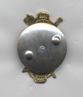 Изображение награды : знак "440 лет Волжскому казачьему войску"