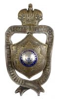 Изображение награды : нагрудный (наградной) знак "Сводно-Гвардейский Полк"