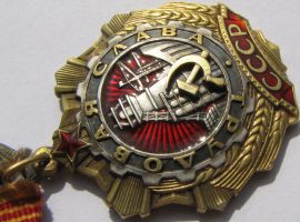 Изображение награды : орден "Трудовой Славы"
