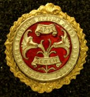 Награда нагрудный (наградной) знак "Друг детей"
Хотите узнать больше? Награда
