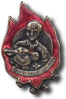 Изображение награды : нагрудный (наградной) знак "Шеф молодняка"