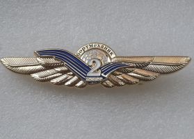 Награда нагрудный (наградной) знак "Бортмеханник 2 класс"
Хотите узнать больше? Награда