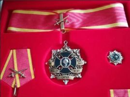 Изображение награды : орден "За победу над ИГИЛ"