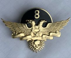 Изображение награды : нагрудный (наградной) знак "ЧВК Вагнер"