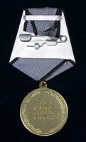 Изображение награды : медаль "За службу на Северном Кавказе"