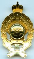 Изображение награды : нагрудный (наградной) знак "В память 120-летия со дня основания Московского нумизматического общества"