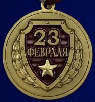 Изображение награды : медаль "Защитнику Отечества"