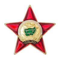Изображение награды : знак "Ветеран войны в Афганистане"