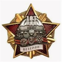Изображение награды : нагрудный (наградной) знак "Ветеран 103 гвардейской воздушно-десантной дивизии (ВДД)"