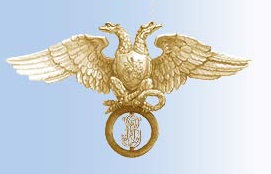 Иллюстрация к разделу "ННФ св. Николая Чудотворца" (logo81.jpg)