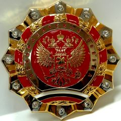 Иллюстрация к разделу "ОБЩЕСТВЕННЫЕ НАГРАДЫ (прочие)" (logo9.jpg)